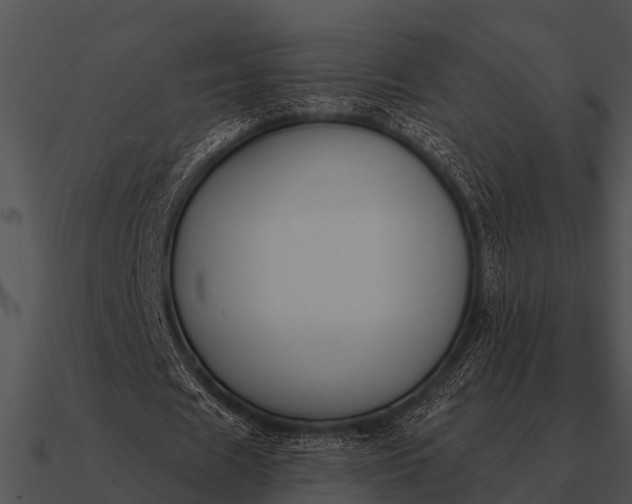 X0000090710625200708031433