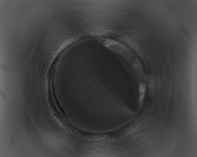 X0000090710626200708031433