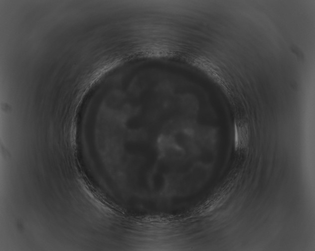 X0000090710627200708031434