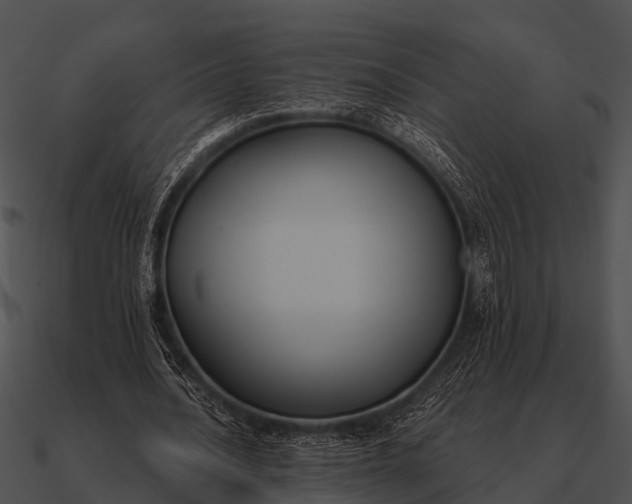 X0000090710628200708031434