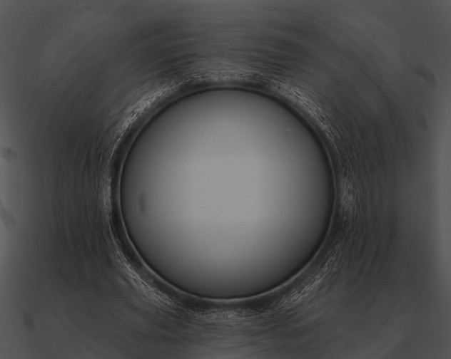 X0000090710629200708031434