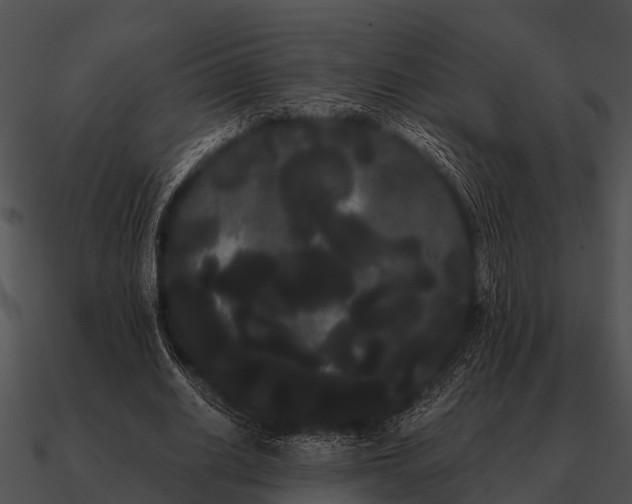 X0000090710630200708031434