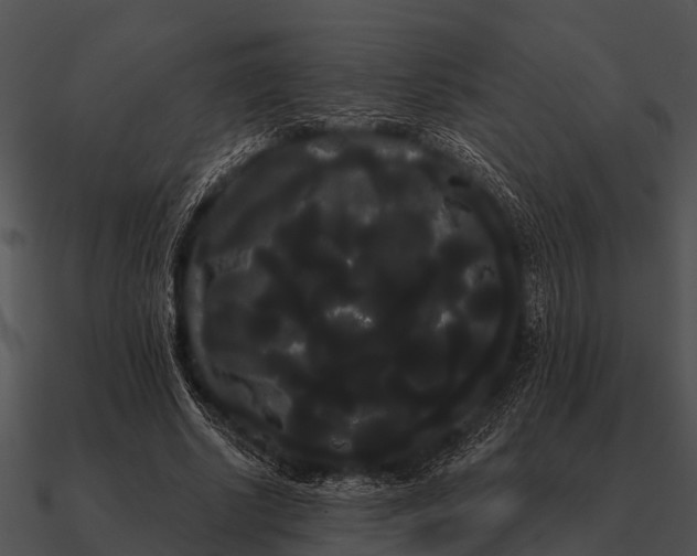 X0000090710634200708031434