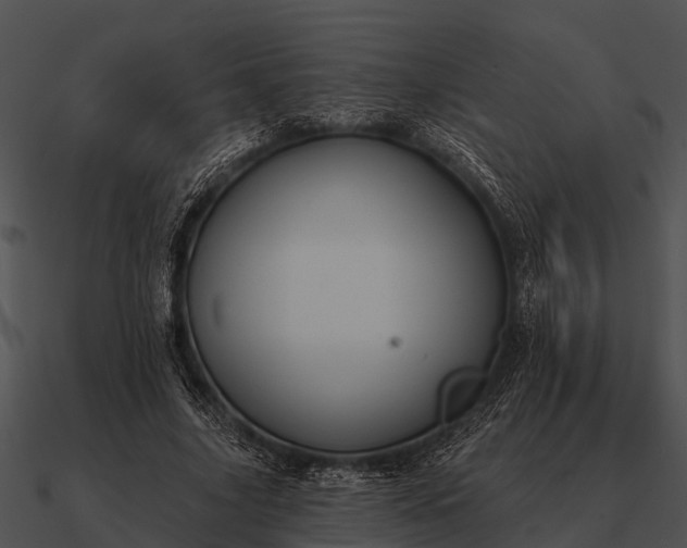 X0000090710635200708031434