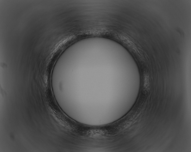 X0000090710636200708031434