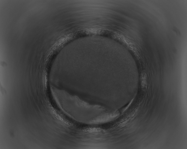 X0000090710637200708031434