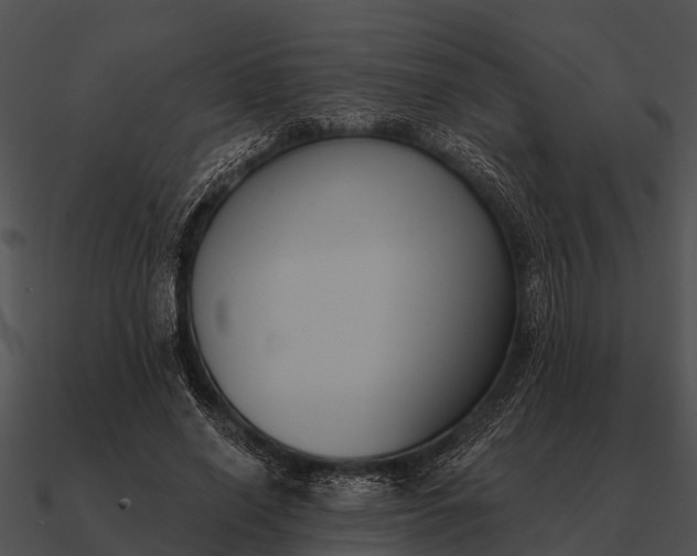 X0000090710638200708031434