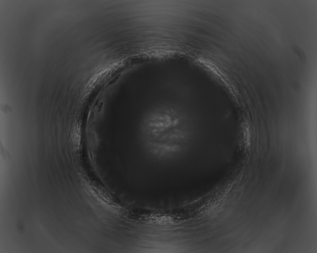 X0000090710640200708031434