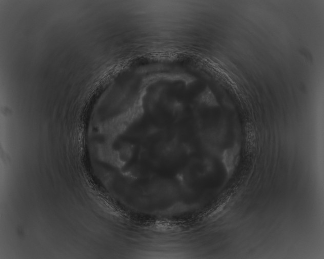 X0000090710641200708031434