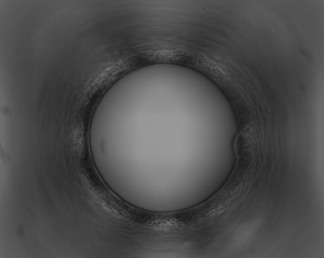 X0000090710642200708031434