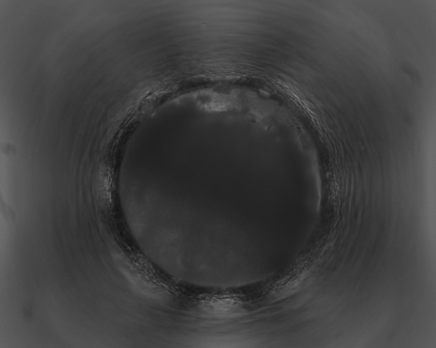 X0000090710643200708031434