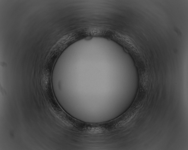 X0000090710645200708031434