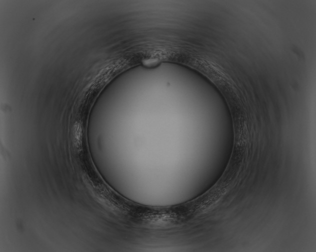 X0000090710646200708031434