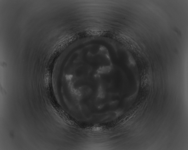 X0000090710647200708031434