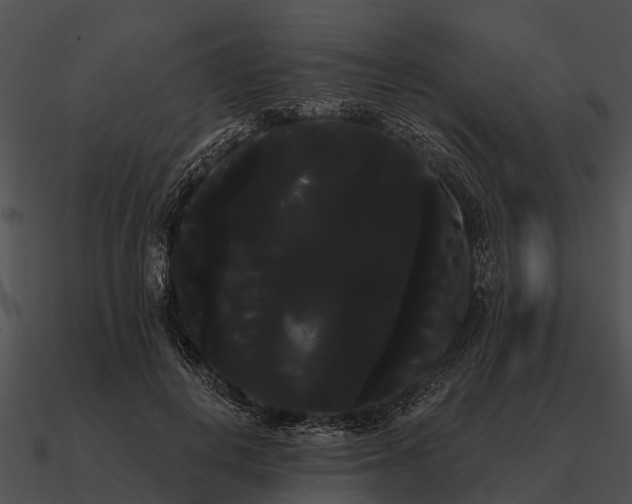 X0000090710648200708031434