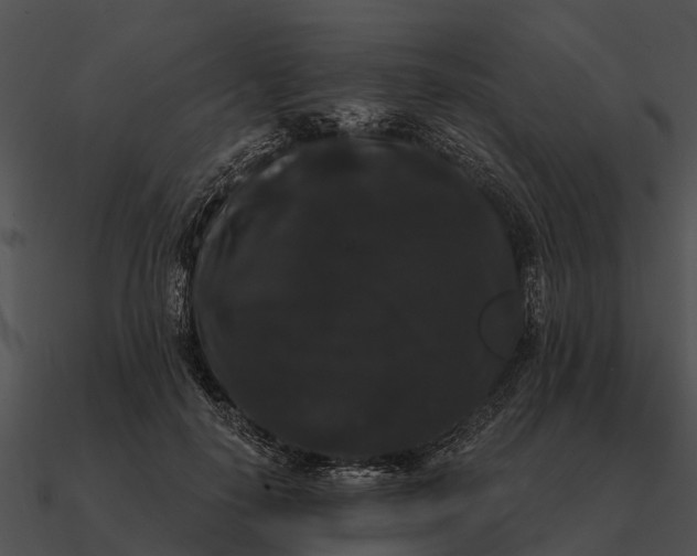 X0000090710650200708031434