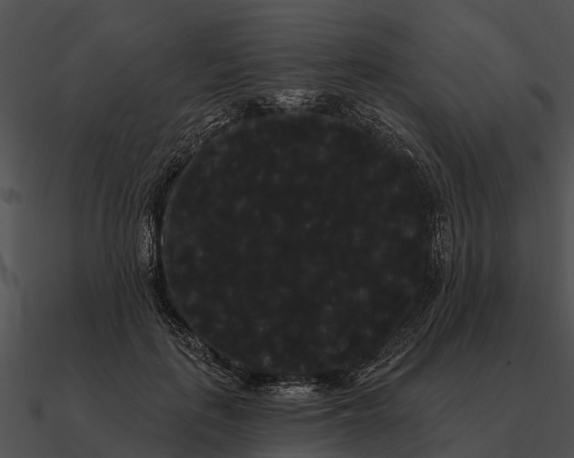 X0000090710651200708031434