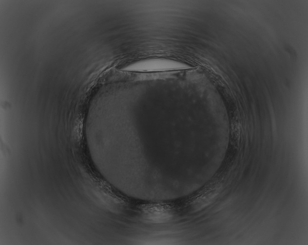 X0000090710652200708031434