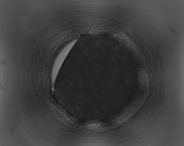 X0000090710653200708031434