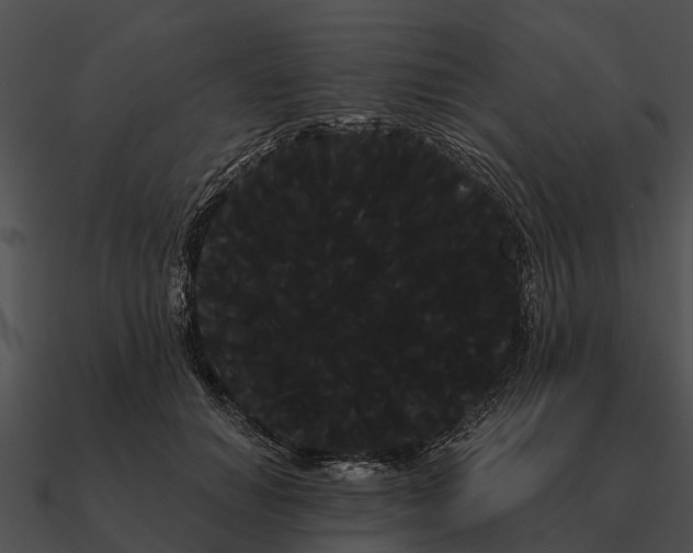 X0000090710654200708031434