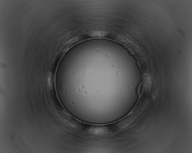 X0000090710655200708031434