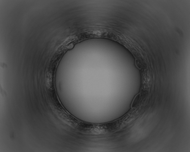 X0000090710656200708031434