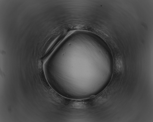 X0000090710657200708031434