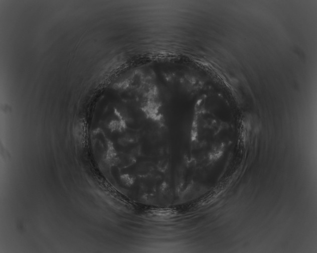 X0000090710659200708031434