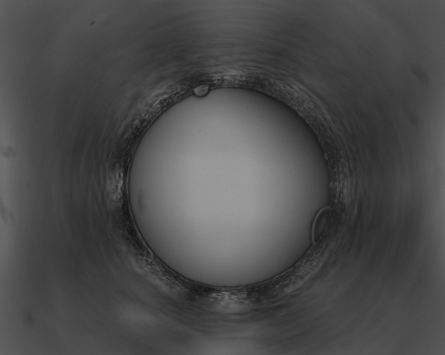 X0000090710660200708031434