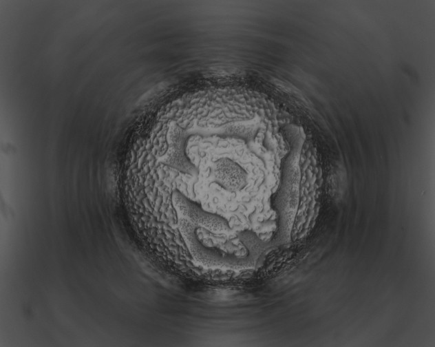 X0000090710662200708031434