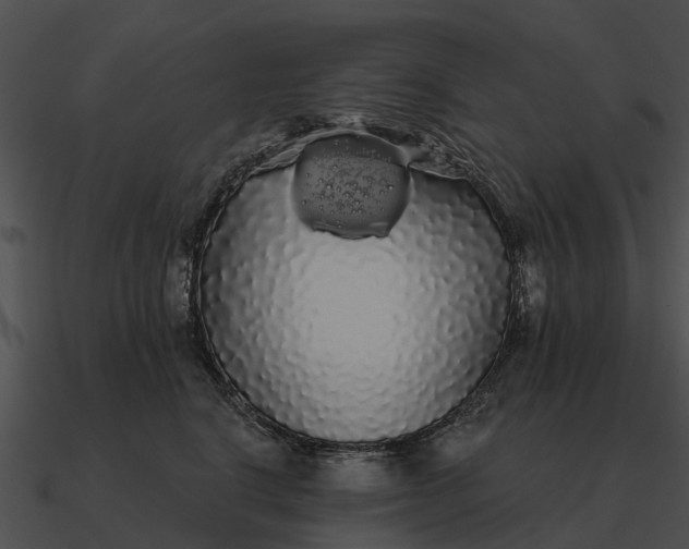 X0000090710664200708031434