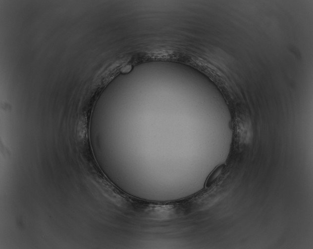 X0000090710665200708031434