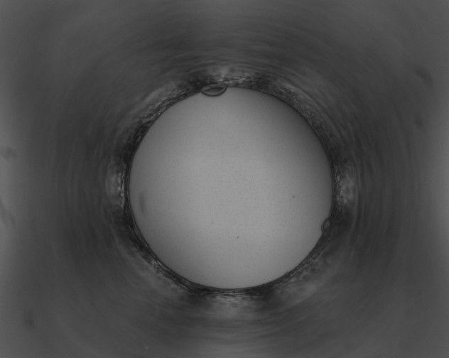 X0000090710666200708031434