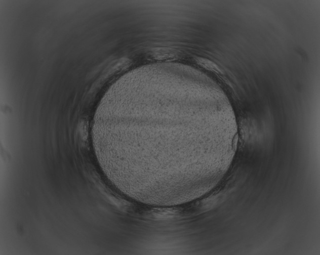 X0000090710667200708031434