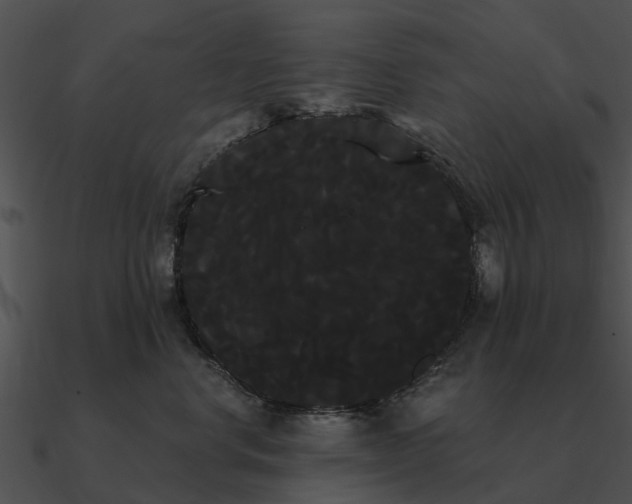 X0000090710668200708031434