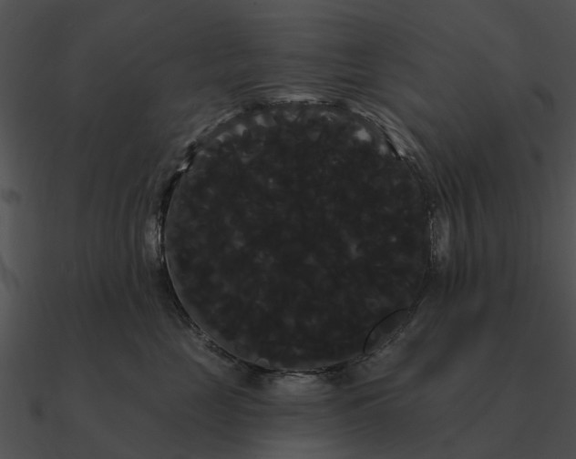 X0000090710669200708031434