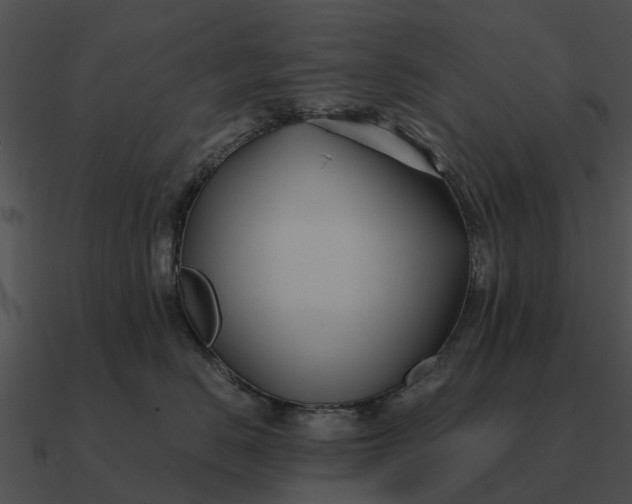 X0000090710670200708031434