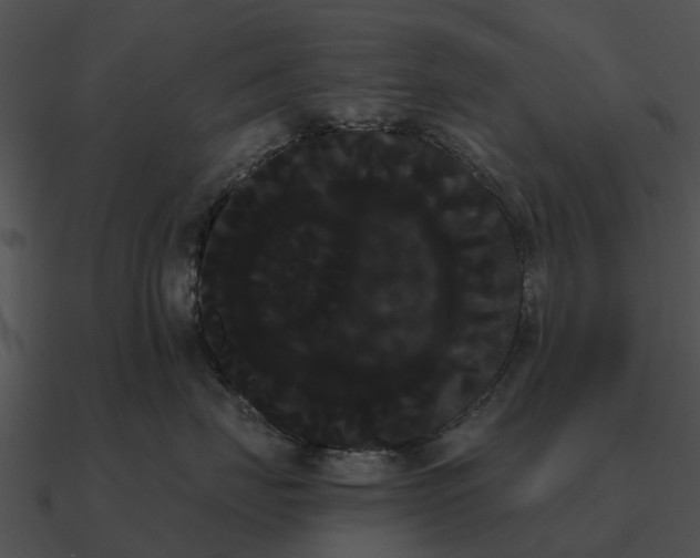 X0000090710671200708031434