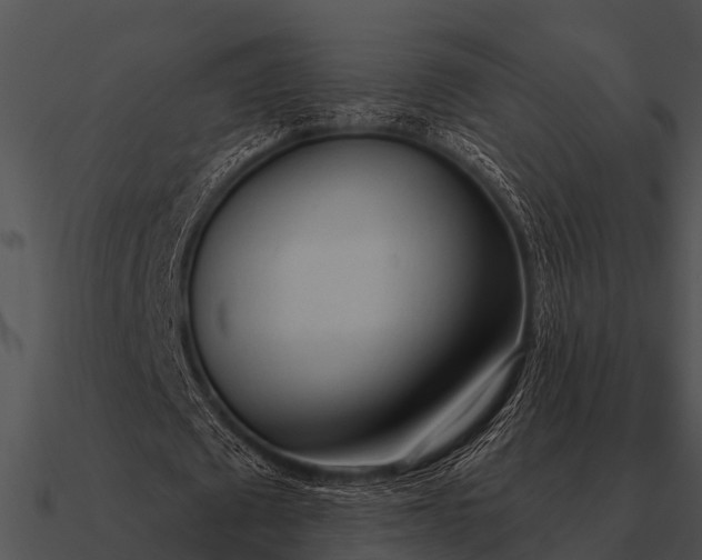 X0000090710673200708031433