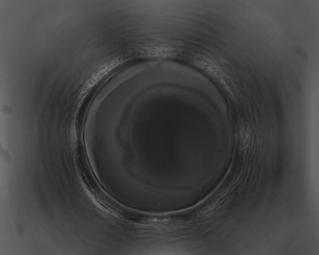 X0000090710674200708031433