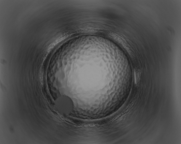 X0000090710675200708031433