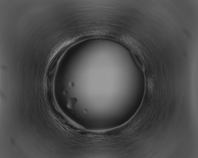 X0000090710676200708031433