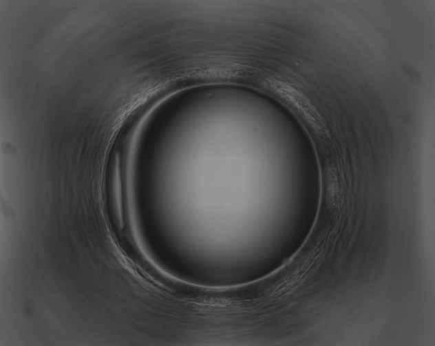 X0000090710677200708031433