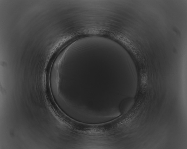 X0000090710678200708031433