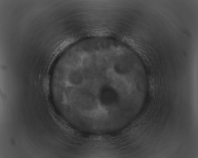 X0000090710679200708031433