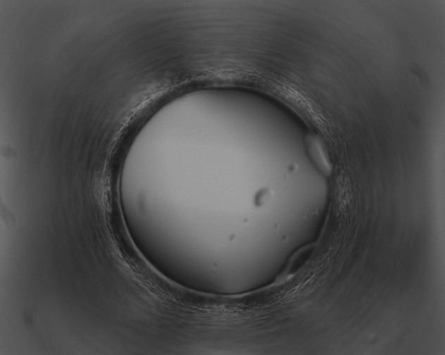 X0000090710680200708031433