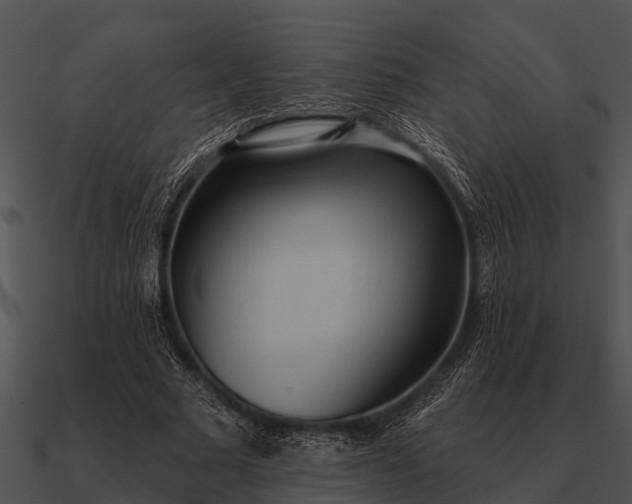 X0000090710681200708031433