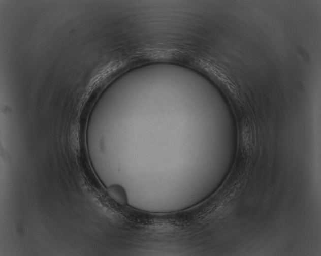 X0000090710682200708031433