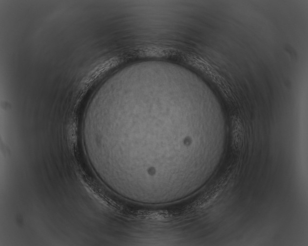 X0000090710683200708031433