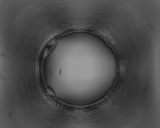 X0000090710684200708031433